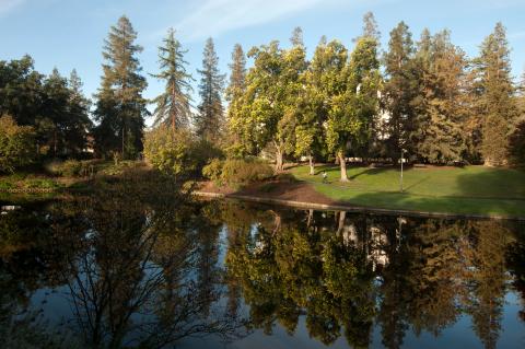 Lake Spafford in the Arboretum With a blue sky, a person walks along Lake Spafford in the Arboretum