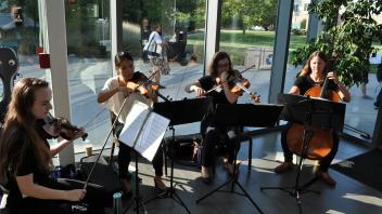 musicians
