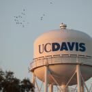 UC Davis water tower